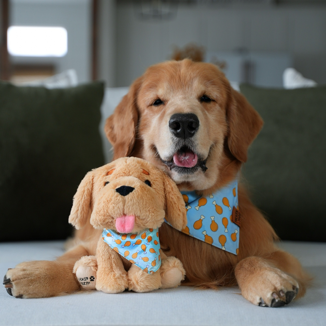 Tucker Plushie 2.0 – Tucker & Todd Co.