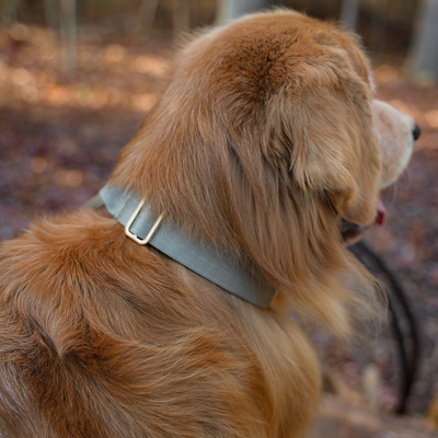 Quick Release Adventure Collar - Driftwood Green