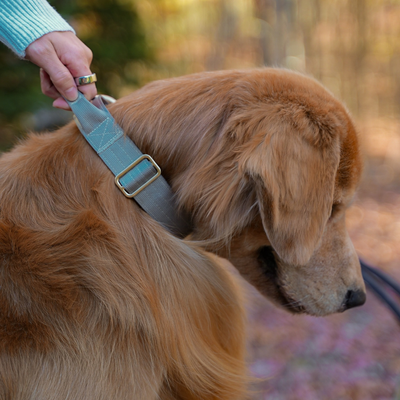 Quick Release Adventure Collar - Driftwood Green