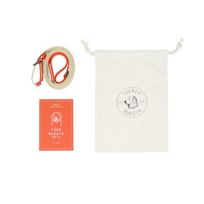 Slip Lead Leash