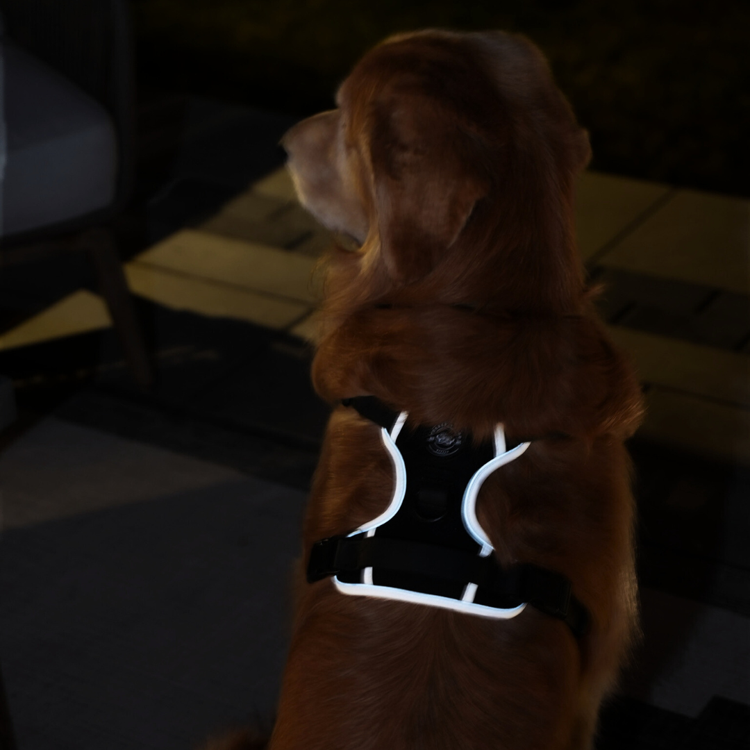 Reflective Comfort Padded Dog Harness with Traffic Handle – Tucker