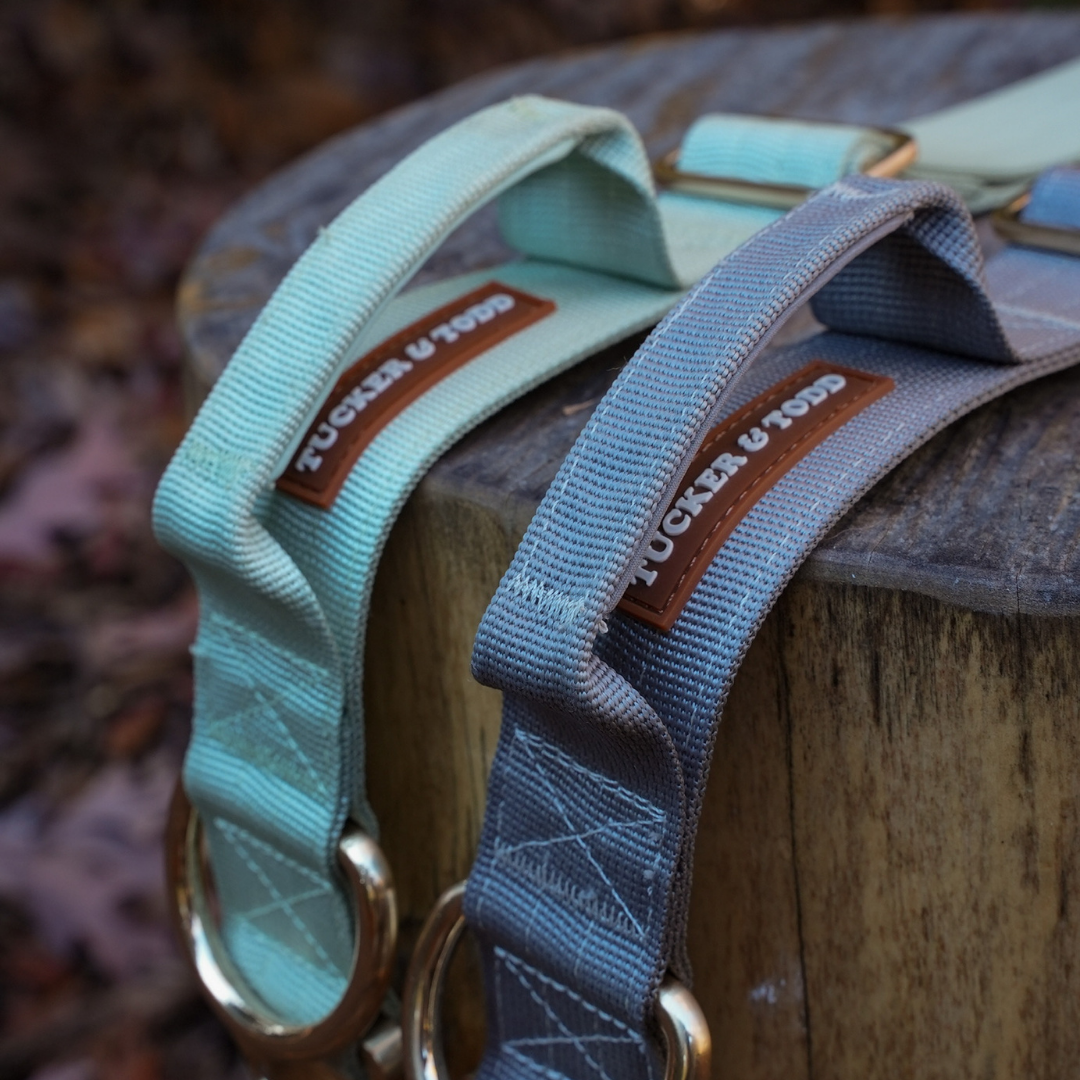 Quick Release Adventure Collar - Mint