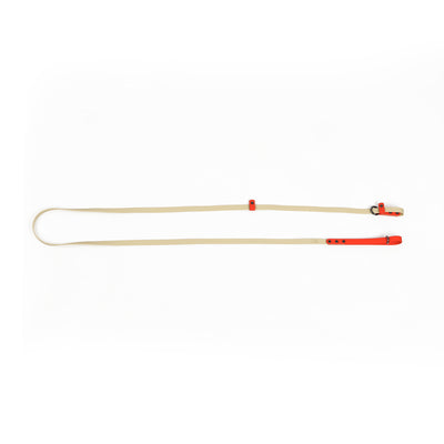 Slip Lead Leash