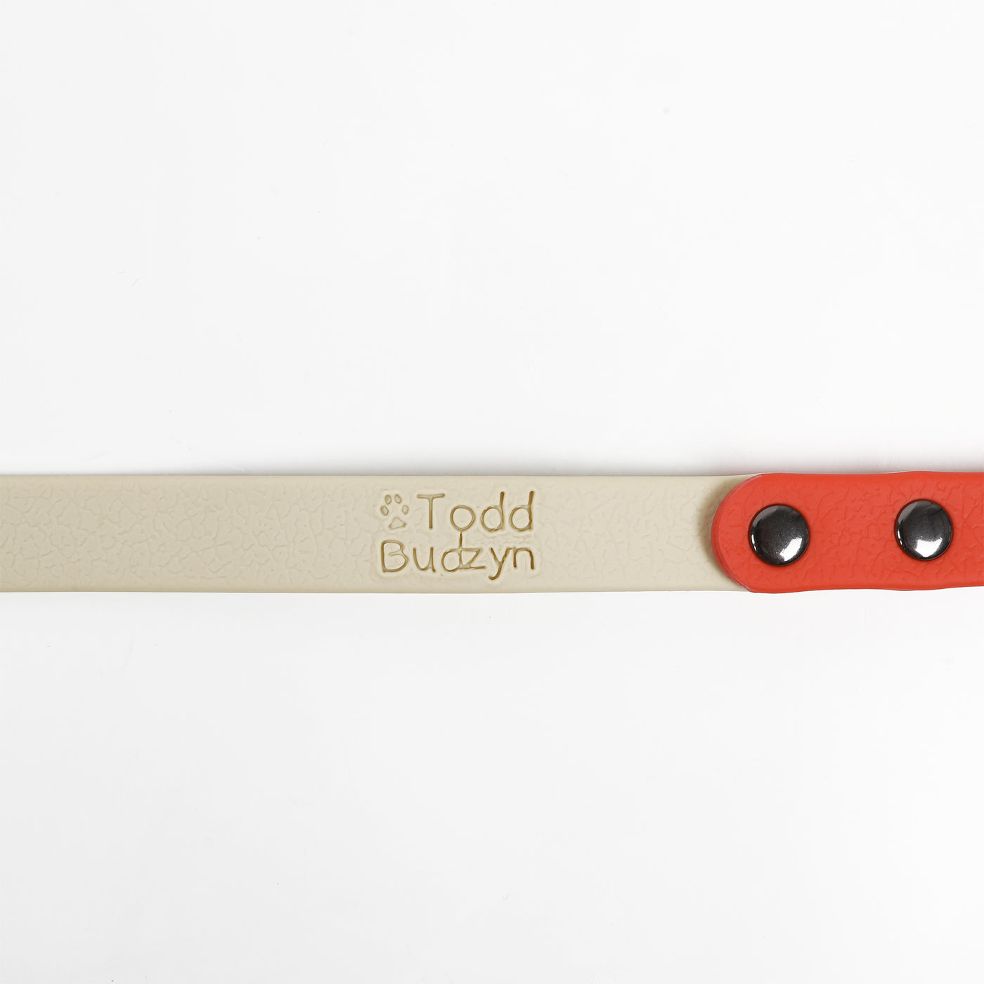 Slip Lead Leash