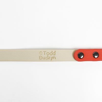 Slip Lead Leash