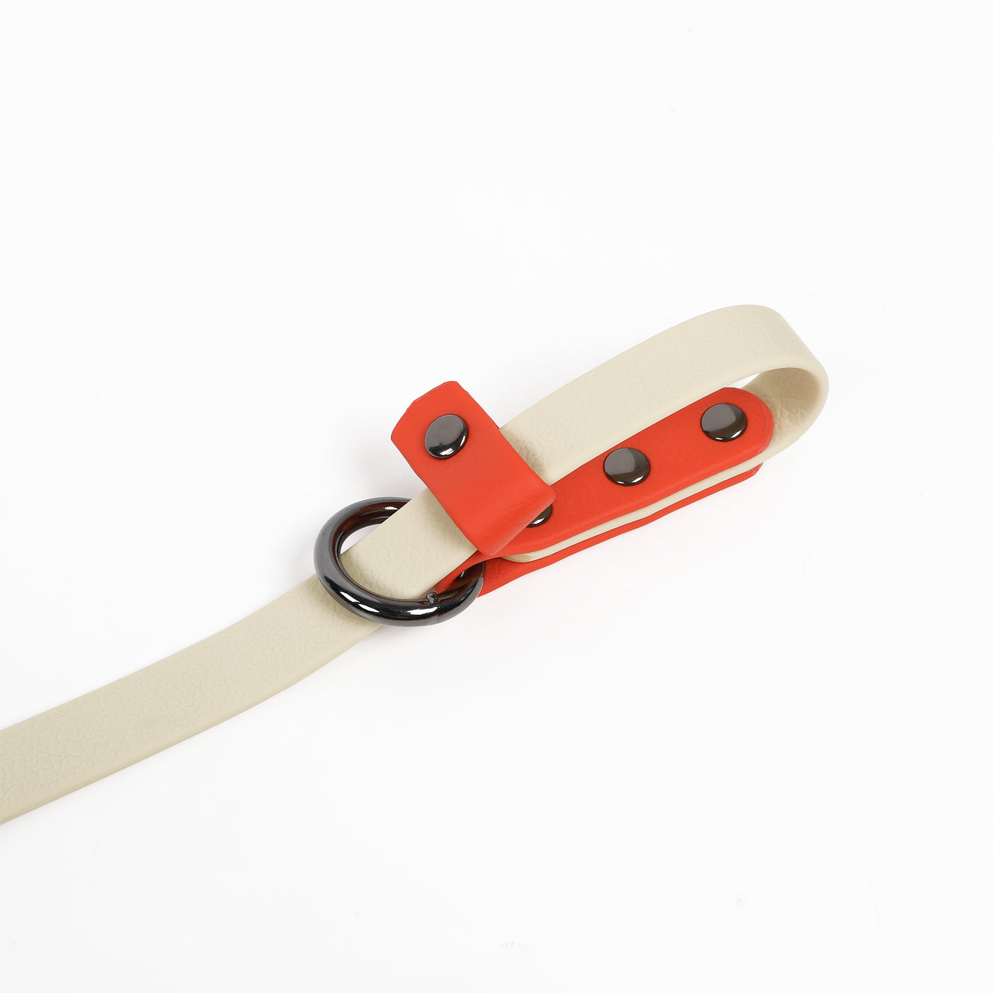 Slip Lead Leash