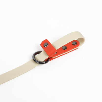 Slip Lead Leash