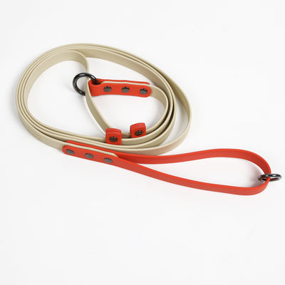 Slip Lead Leash