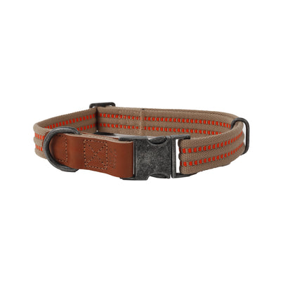 Accent Stitch Collar