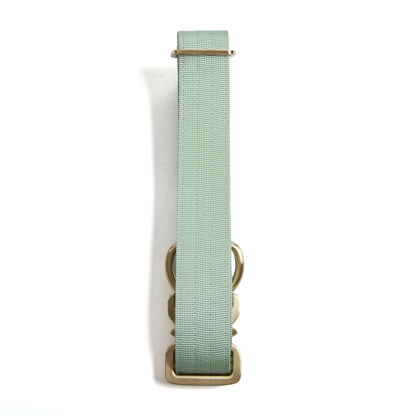 Quick Release Adventure Collar - Mint