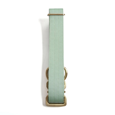 Quick Release Adventure Collar - Mint