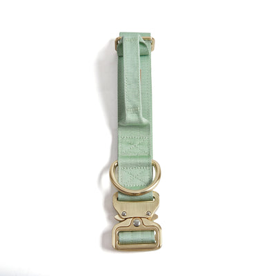 Quick Release Adventure Collar - Mint