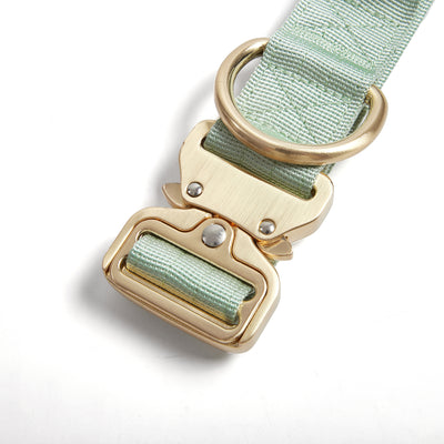 Quick Release Adventure Collar - Mint