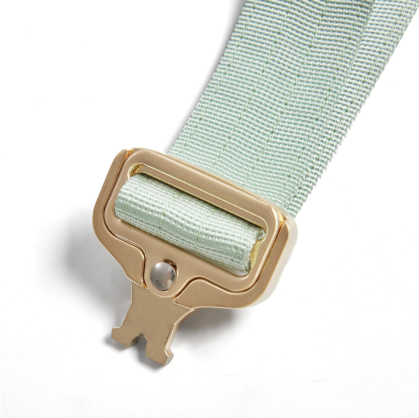 Quick Release Adventure Collar - Mint