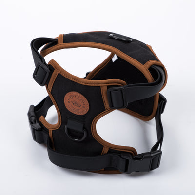 Comfort Padded Dog Harness with Traffic Handle
