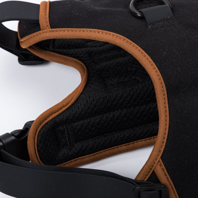 Comfort Padded Dog Harness with Traffic Handle
