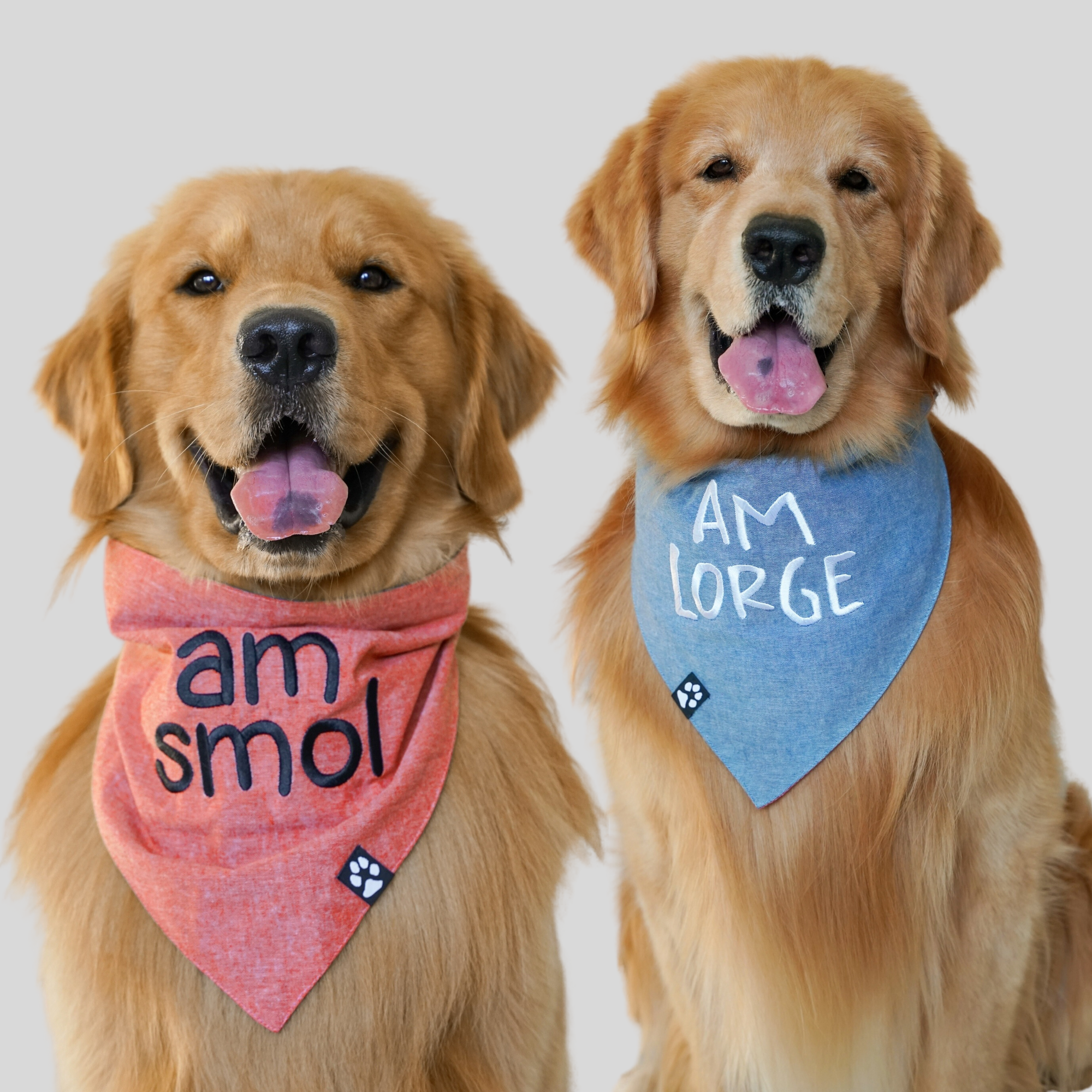 Am Reversible Bandana – Tucker & Todd Co.