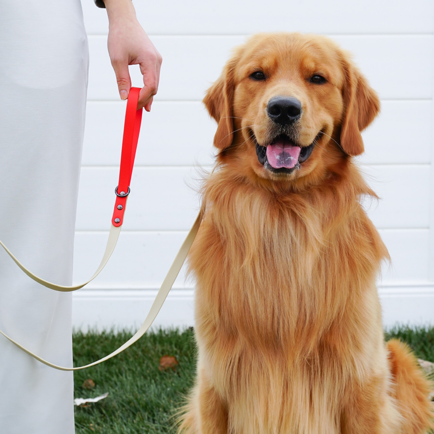 Slip Lead Leash – Tucker Todd1