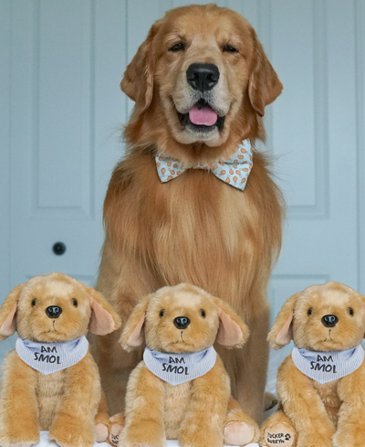 Tiny Tucker Plushie
