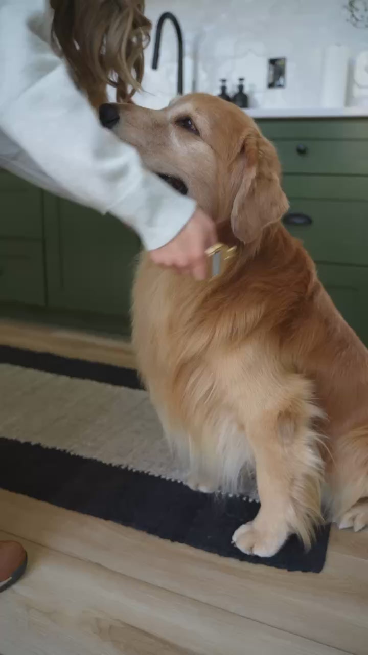 Quick Release Adventure Collar - Mint